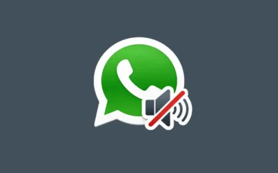How to Mute Someone on WhatsApp Without Blocking